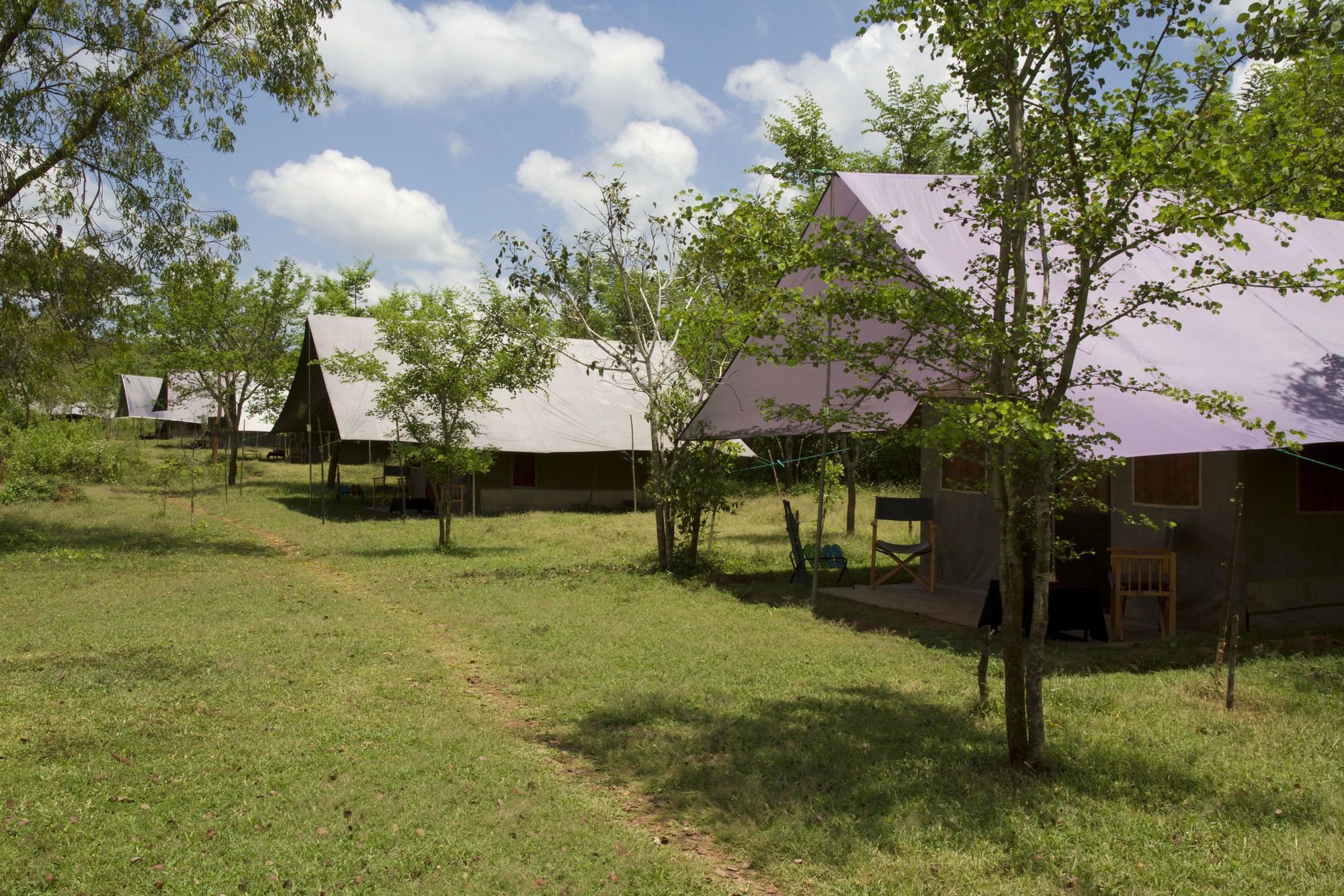 Hotel Big Game Udawalawe - By Eco Team Exterior foto